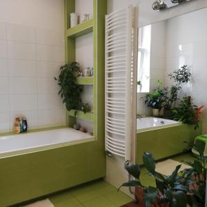 克拉科夫Botaniczny Pokój的带浴缸和浴缸的浴室。