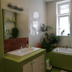 克拉科夫Botaniczny Pokój的一间带水槽、浴缸和镜子的浴室
