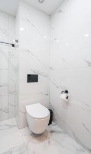古多里New Gudauri Sweet Apartment With Fireplace and view The Gondola Lift的白色的浴室设有卫生间和淋浴。