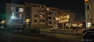 斯利文Апартамент Туида的树上灯火的夜间建筑
