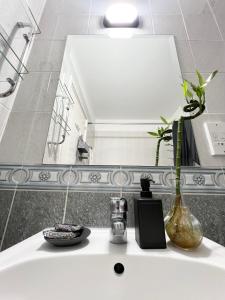 帕福斯212 Apartment, A 2-bedroom escape的一间带盥洗盆、花瓶和镜子的浴室
