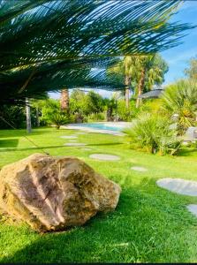索利耶蓬Le Cocoon Lodge du Gapeau & Massage的棕榈树旁的草地上的岩石