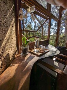 拉戈斯Magical Treehouse的窗户房间里一张桌子
