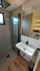 威斯巴登Riverboat-Rhein-Main Ferienloft的浴室配有白色水槽和淋浴。
