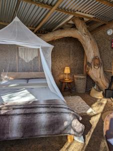 拉戈斯Magical Treehouse的一间卧室配有一张天蓬床和一棵树。