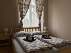 特普利采Salve Teplice的卧室设有两张单人床和窗户。