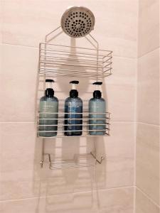彭萨科拉Kelley House的浴室内装有三瓶水的衣架