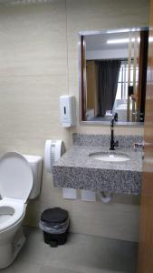卡斯卡韦尔Edifício Master的一间带卫生间、水槽和镜子的浴室