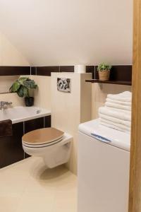 PuńskApartament na Górnej的浴室设有卫生间、水槽和毛巾