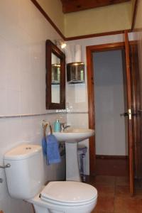 HerrerosEl Rincon del Tejo的一间带卫生间和水槽的浴室