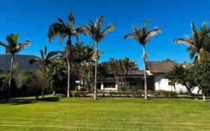 布拉干萨-保利斯塔Chácara Campo Verde的一座房子前面的庭院,里面种有棕榈树
