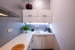 布拉格Modern Downtown APT - renovated, on ideal location的厨房配有白色橱柜和水槽