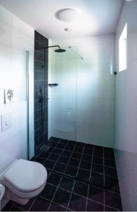 BerkenwoudeVakantiehuis de Hooiberg的一间带卫生间和玻璃淋浴间的浴室