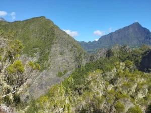 萨拉济L'escale du radier的树木覆盖的高山空中景色