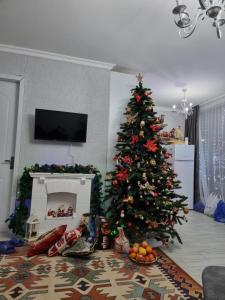 博尔若米Borjomi Plato house的带壁炉的客厅里的圣诞树