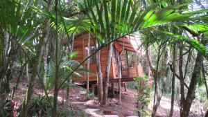 莫雷蒂斯Cabanas sítio Ancestral的树中间的小木屋