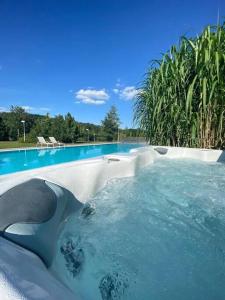 Great spacious villa near Prague的海水中海豚游泳池
