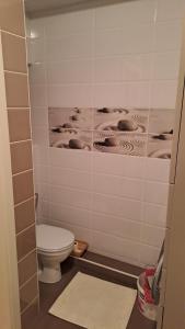 基希讷乌Аэропорт Апартаменты Комфорт的一间带卫生间和瓷砖墙的浴室