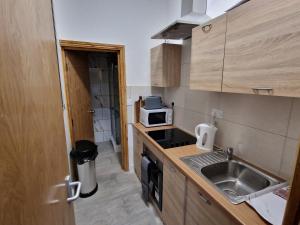 利物浦31 London Road Liverpool Sleeps 4的一间带水槽和微波炉的小厨房