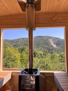 BozioruTinutul Luanei Glamping Resort的小屋内的一个木炉子,设有大窗户