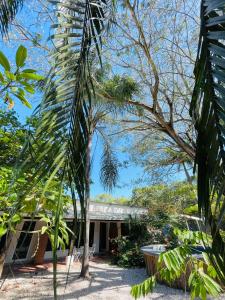 Playa NegraPrivate Room Playa Negra的前面有棕榈树的房子