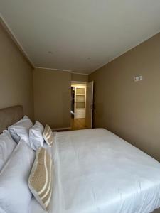 波尔图Oporto Near Family Apartments的卧室配有带枕头的大型白色床