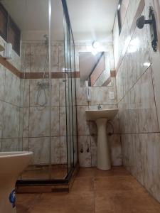 拉巴斯RIXAA Hotels的一间带玻璃淋浴和水槽的浴室