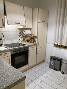开姆尼茨Adam's Pension的厨房配有水槽和炉灶 顶部烤箱