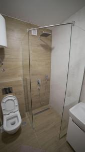 亚霍里纳Madulo apartman的一间带卫生间和玻璃淋浴间的浴室