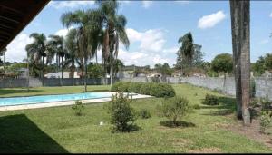 伊比乌纳Linda chácara em Ibiúna的一个带游泳池和棕榈树的后院