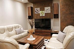 萨拉热窝Capital apartments Sarajevo的客厅配有2张白色沙发和电视