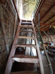 BalgueEl Bamboo Cabins的木楼梯,有木天花板的房间