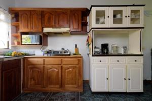 蒙泰韦尔德哥斯达黎加HeCo House的厨房配有木制橱柜和白色家电