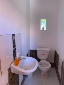 奥科苏尤Orlando´s House的白色的浴室设有卫生间和水槽。