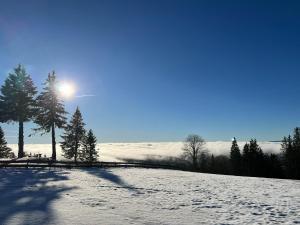 NeuwegNaturfreundehaus Brend的天空中一片雪地,阳光照耀着