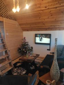 扎布利亚克Cottage Mila的客厅配有圣诞树和电视