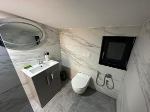 BorsaVacation house的一间带水槽、卫生间和镜子的浴室