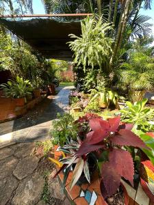 伊瓜苏港伊瓜苏港口酒店的种植了多种不同植物的花园