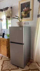 Union IslandCool Breeze Suites的厨房里放着植物的冰箱