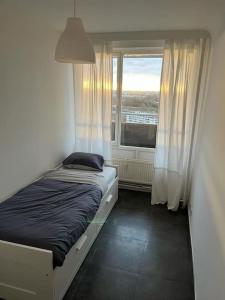 布鲁塞尔Appart meublé 92m2 + 2 terrasses的窗户客房内的小床