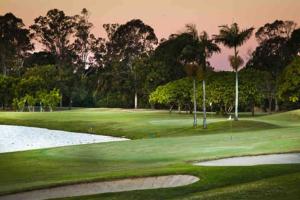Tanah MerahAlina's Peaceful Studio的一座种植了棕榈树的高尔夫球场和果岭