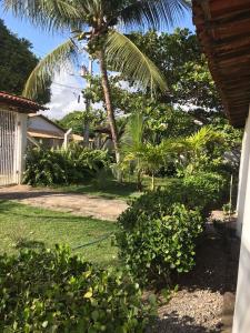阿拉卡茹Village por do sol的棕榈树和房子的院子