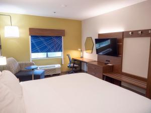 格林维尔Holiday Inn Express & Suites I-85 Greenville Airport, an IHG Hotel的酒店客房设有一张床、一张书桌和一台电视机。