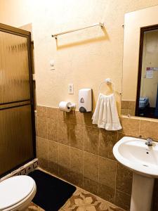 莱昂Hostal El Rio的一间带卫生间和水槽的浴室