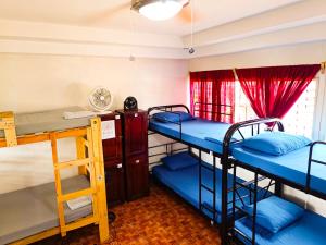 莱昂Hostal El Rio的客房设有两张双层床和一扇窗户。