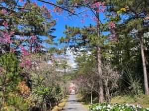 大叻大叻诺伊登瑟湖Spa度假酒店的穿过森林的一条有树木和花的路