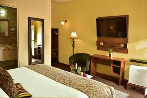 阿雷基帕卡萨代阿维拉住宿加早餐旅馆的配有一张床和一台平面电视的酒店客房