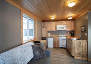 塔尔基特纳Downtown Talkeetna Cabin! Susitna Cabin的带沙发的客厅和厨房