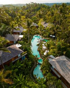 乌布Kappa Senses Ubud的享有带游泳池和树木的度假村的空中景致