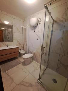 维勒塔巴雷亚Carmela e Gennaro casa vacanze的带淋浴、卫生间和盥洗盆的浴室